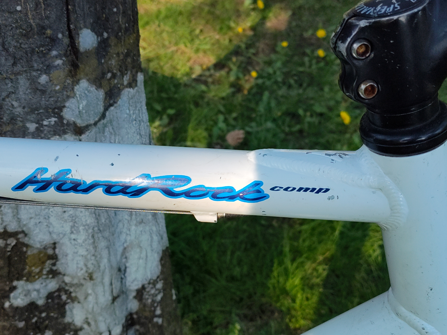 Fully tuned up Specialized MTB - XL frame - photo 2