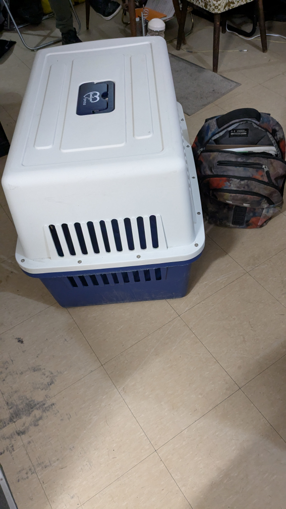 💚Pet Carrier large {German Shepard} - photo 3