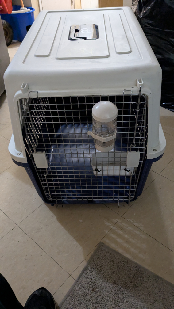💚Pet Carrier large {German Shepard} - photo 4