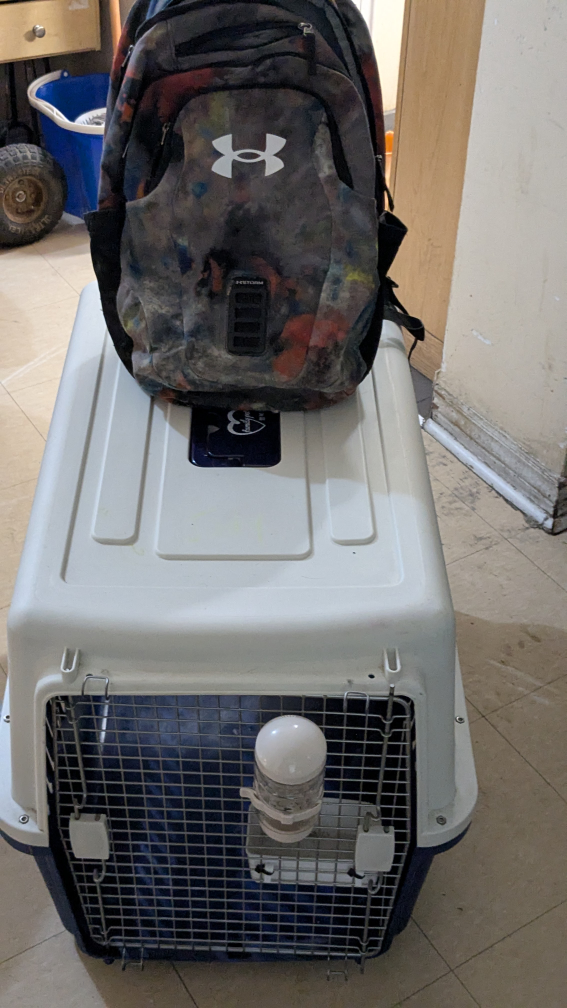 💚Pet Carrier large {German Shepard} - photo 5