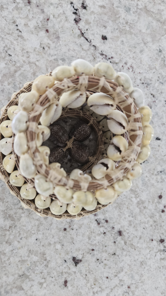 Seashell Decorative Tabletop Piece, from the Pacific Islands - photo 5