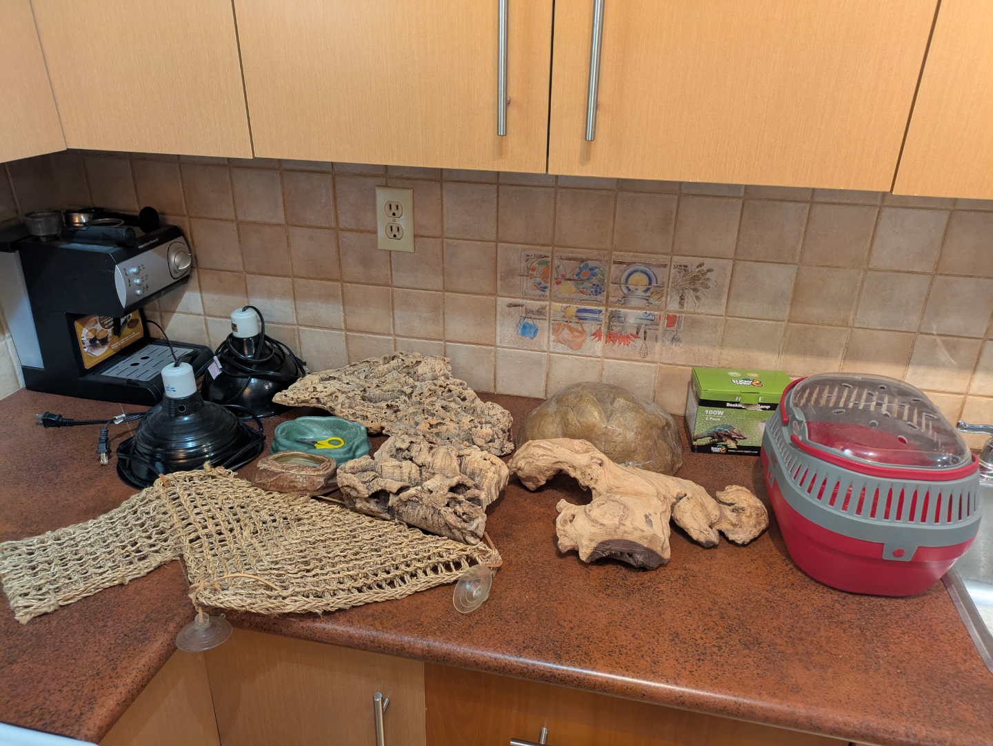 items for a lizard's tank