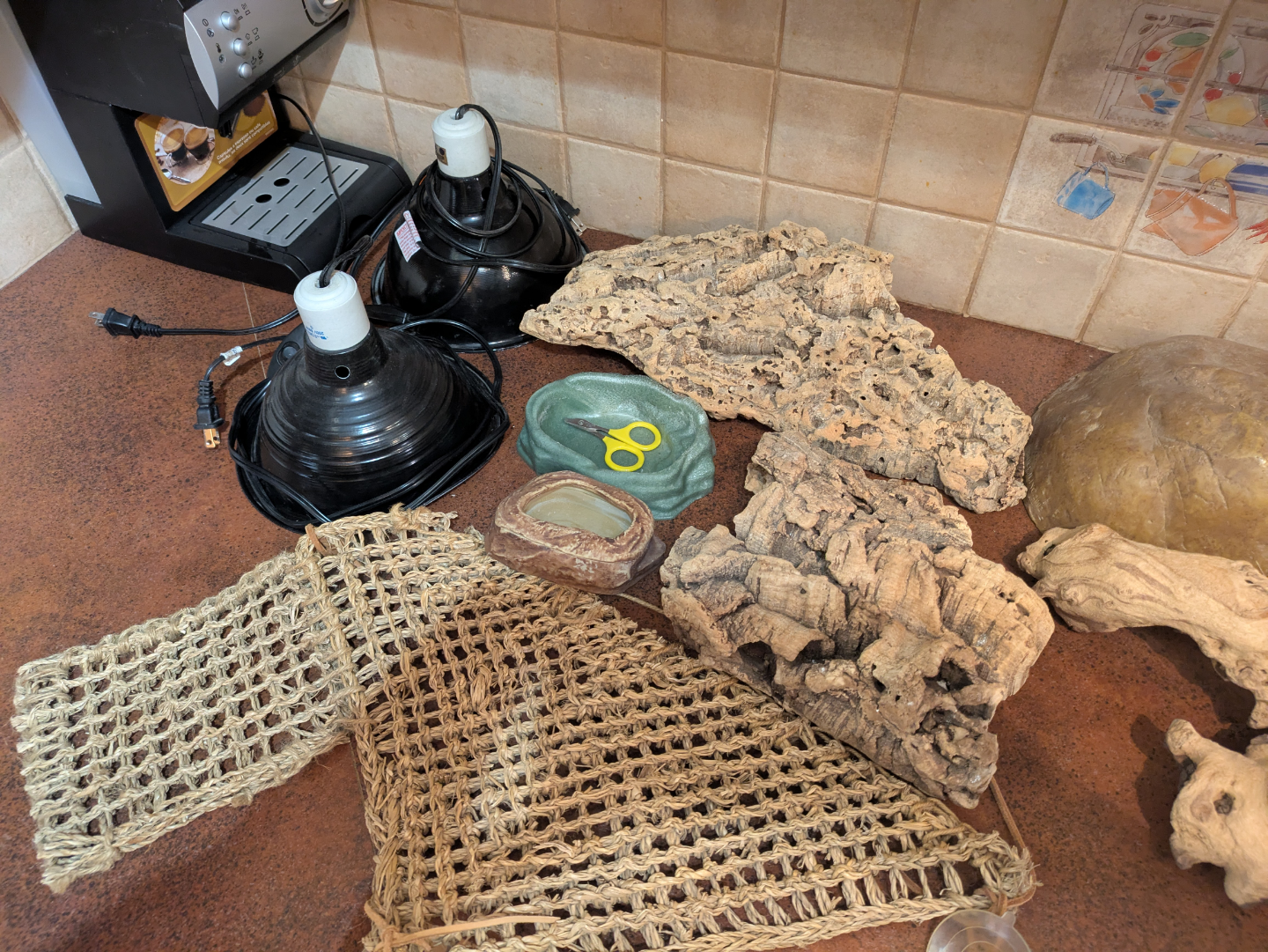 items for a lizard's tank - photo 2