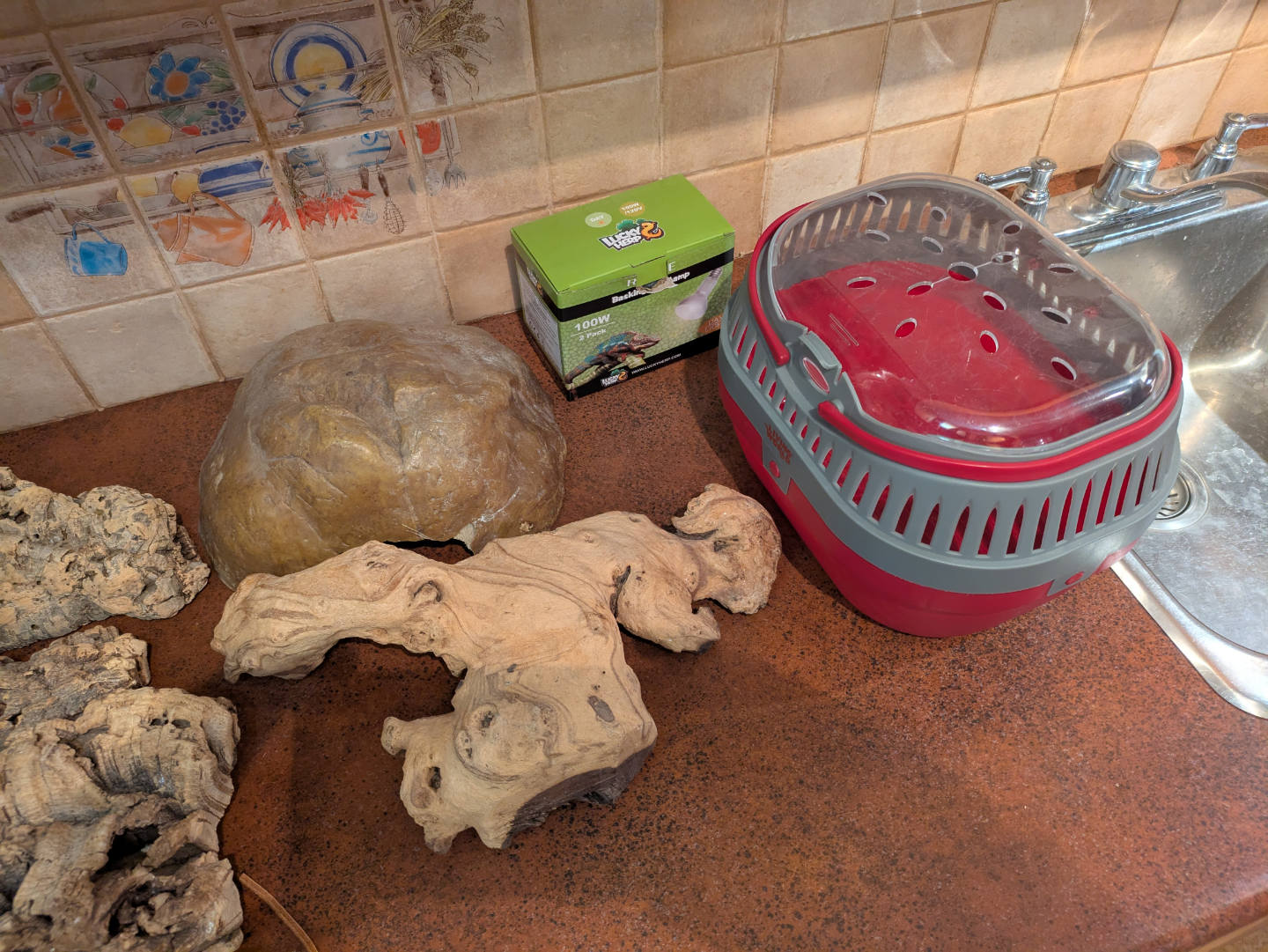 items for a lizard's tank - photo 3