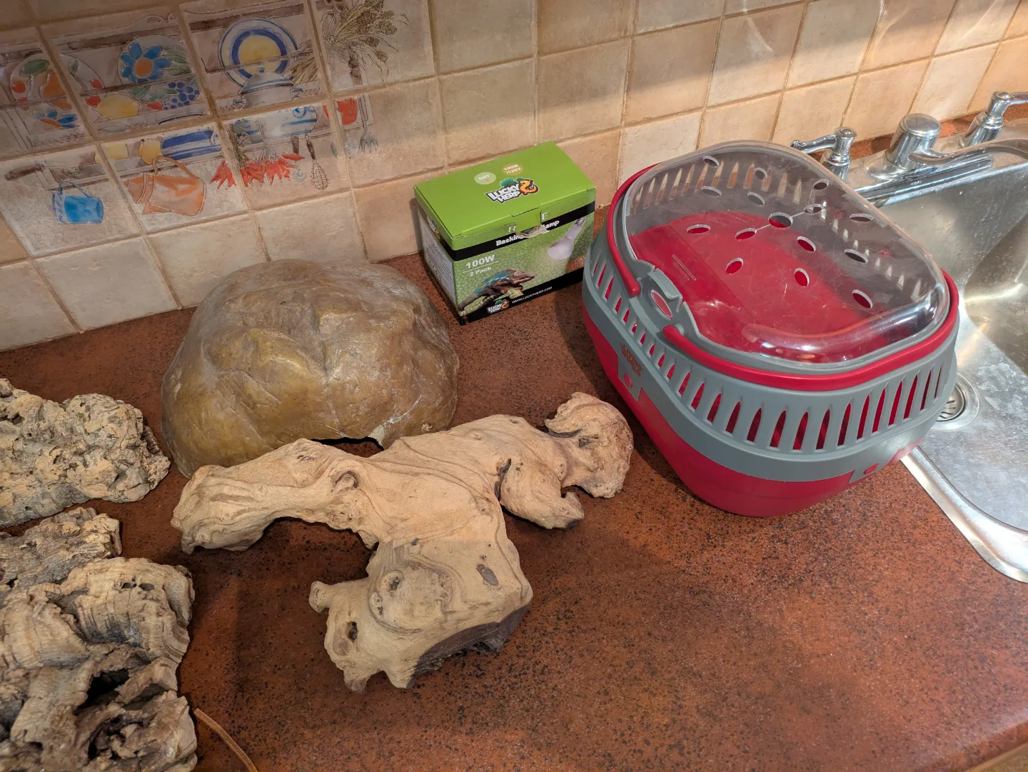 items for a lizard's tank image indicator(3)