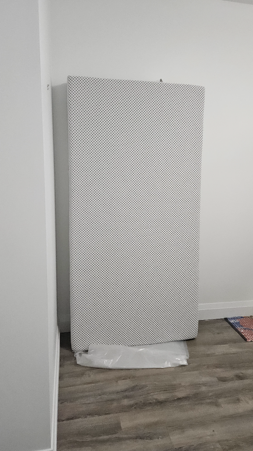 WELLPUR Twin Sized Foam Mattress