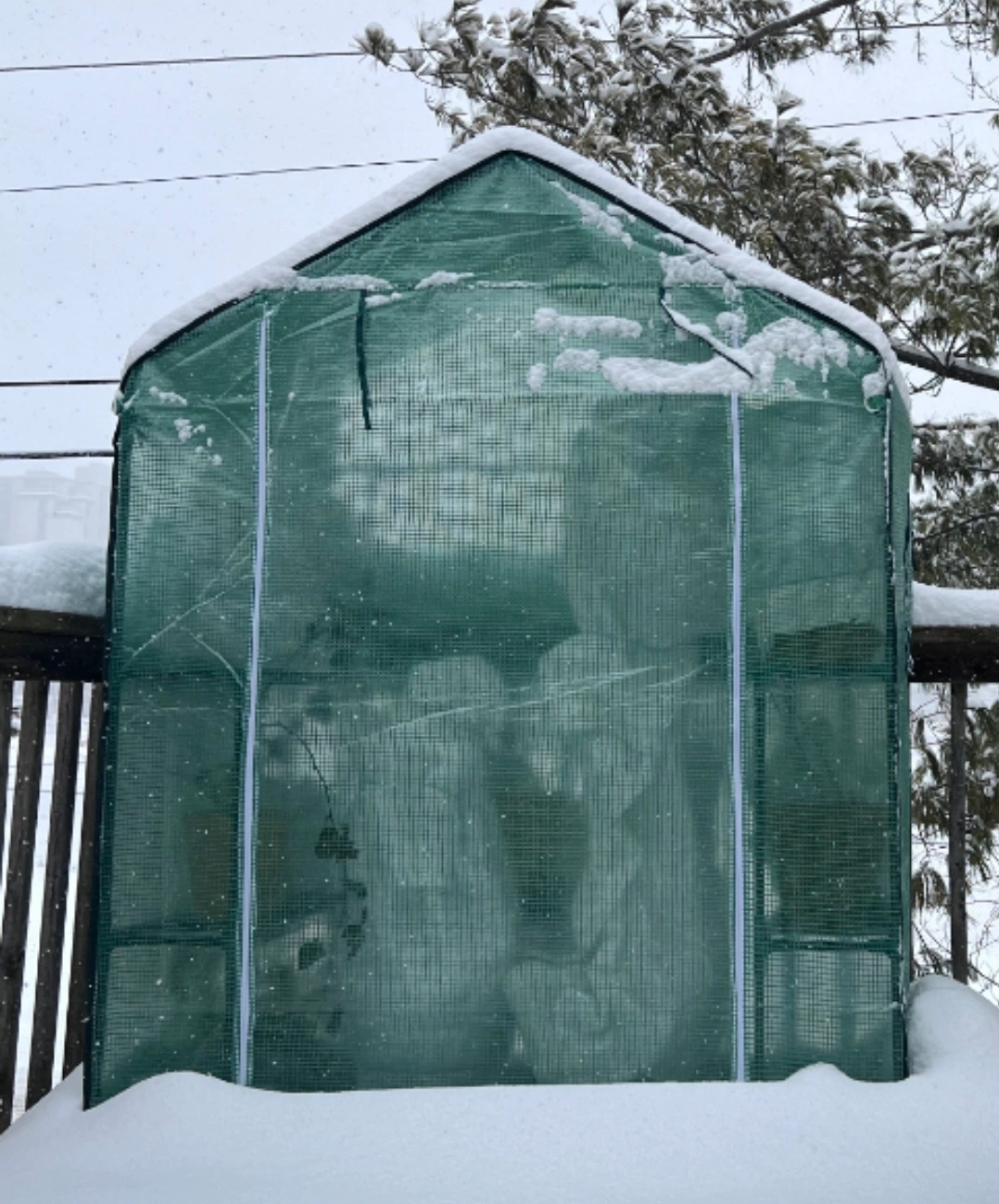 Walk-In Greenhouse
