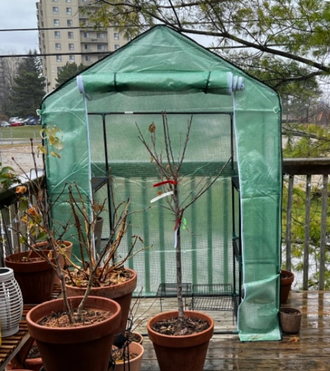 Walk-In Greenhouse - photo 2
