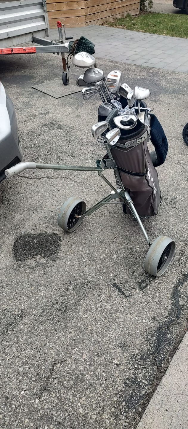 Golf clubs, bag and cart 💚 - photo 3