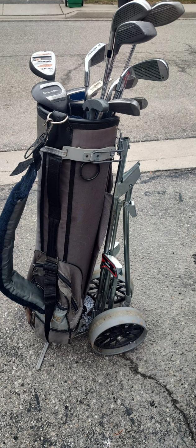 Golf clubs, bag and cart 💚 - photo 4