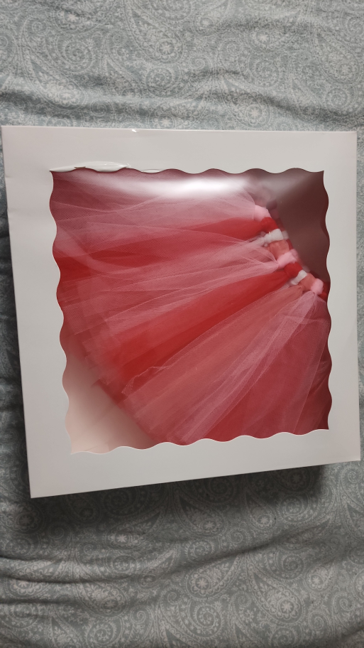 Pink and Red Tulle Tutu Skirt