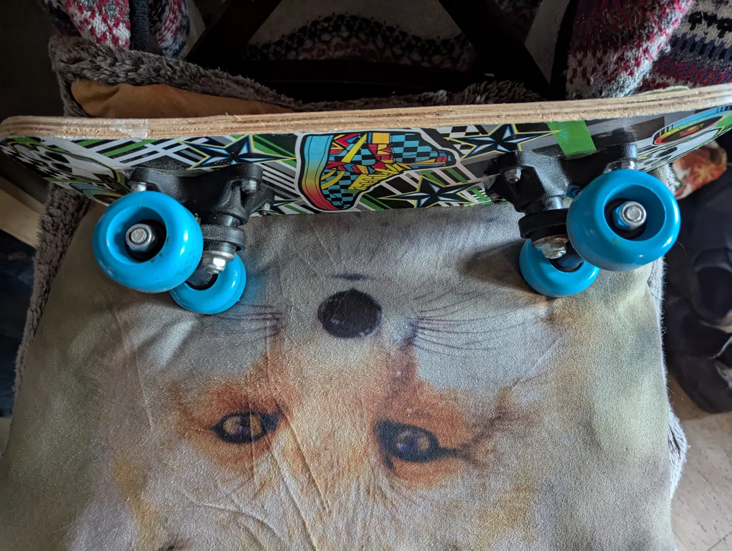 Kids' Skateboard - Skull & Sneaker Design image indicator(3)