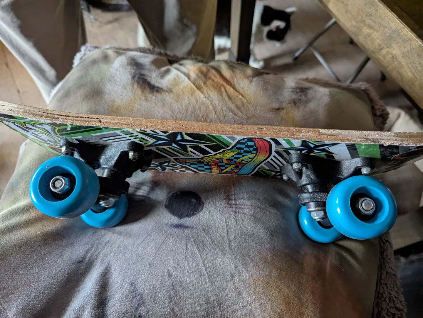 Kids' Skateboard - Skull & Sneaker Design image indicator(4)