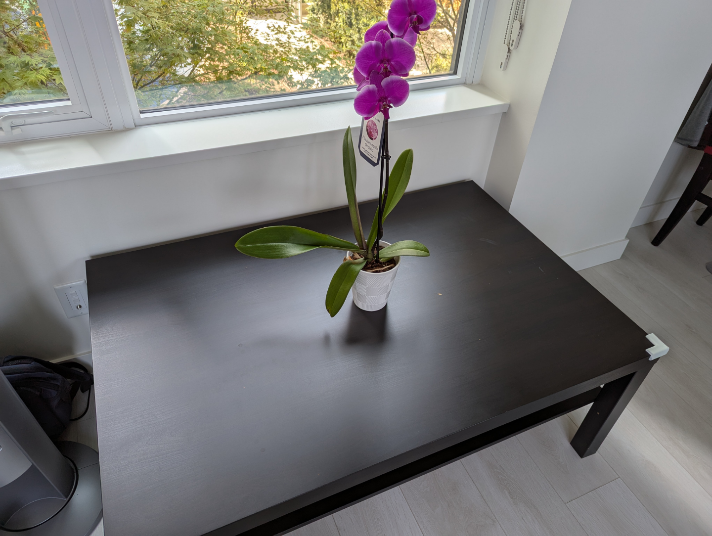 IKEA Lack Coffee Table - Black-Brown