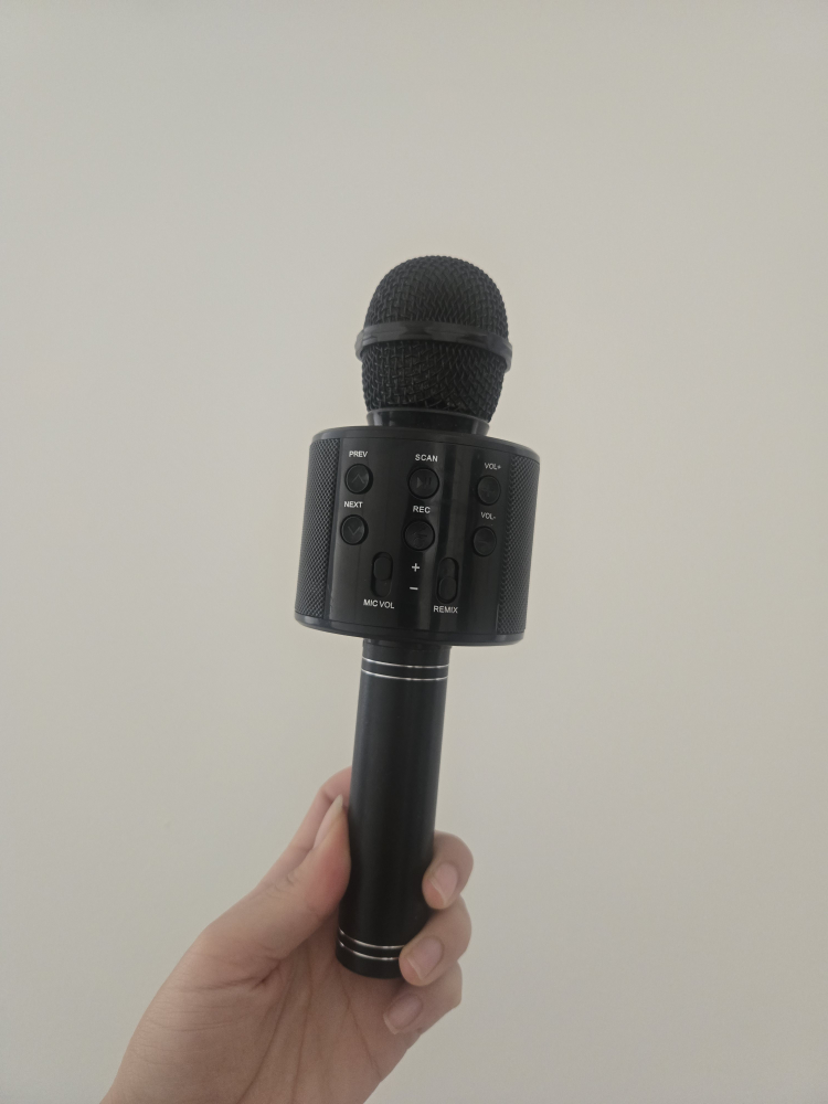 Portable Karaoke Microphone with Bluetooth