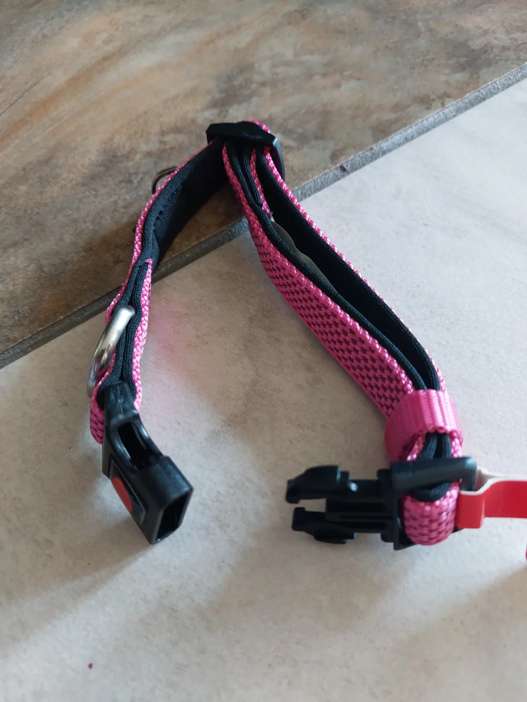 Brand New dogs padded collar size S image indicator(4)