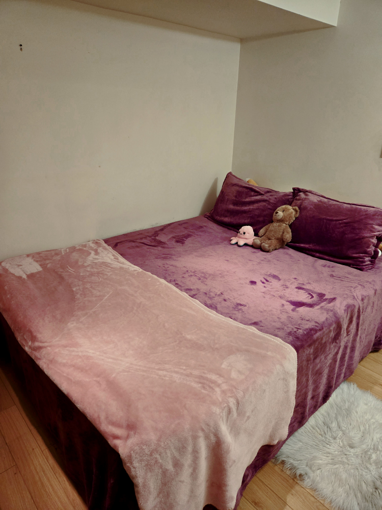 Metal Platform Bed Frame - Queen Size - photo 5