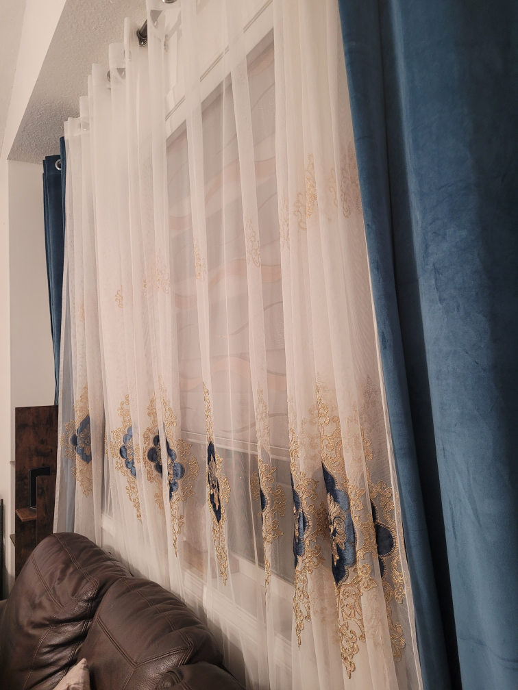 Elegant Sheer & Velvet Curtains - Blue & Gold