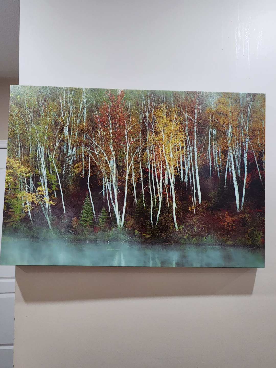 Autumnal Birch Forest Wall Art