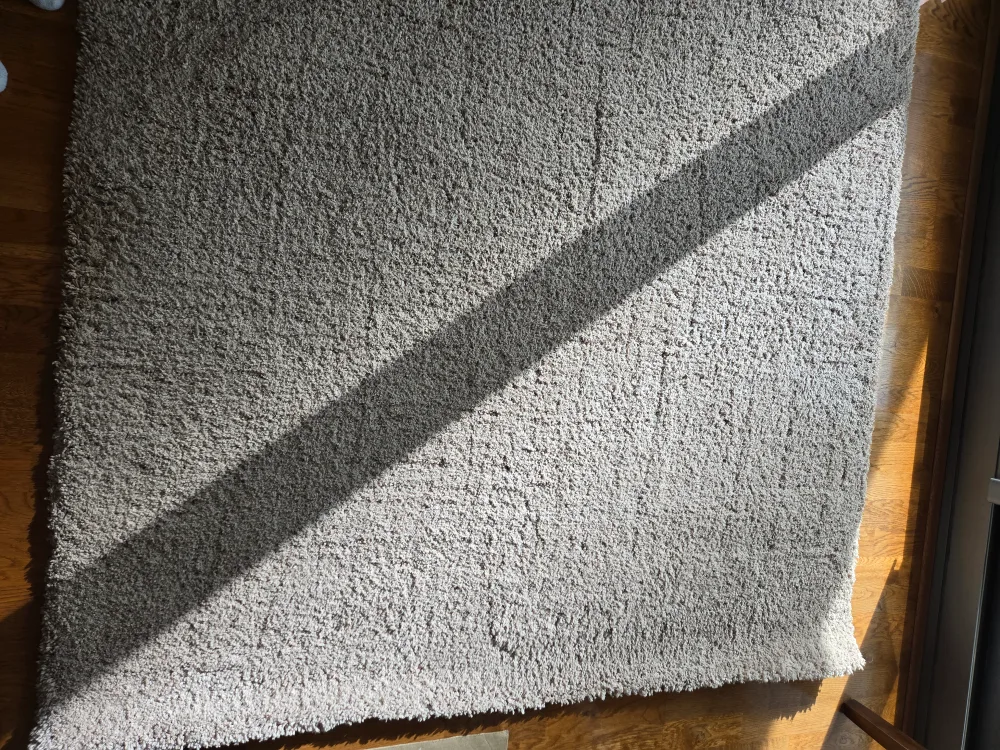 Large Shag Area Rug - Beige image indicator(5)