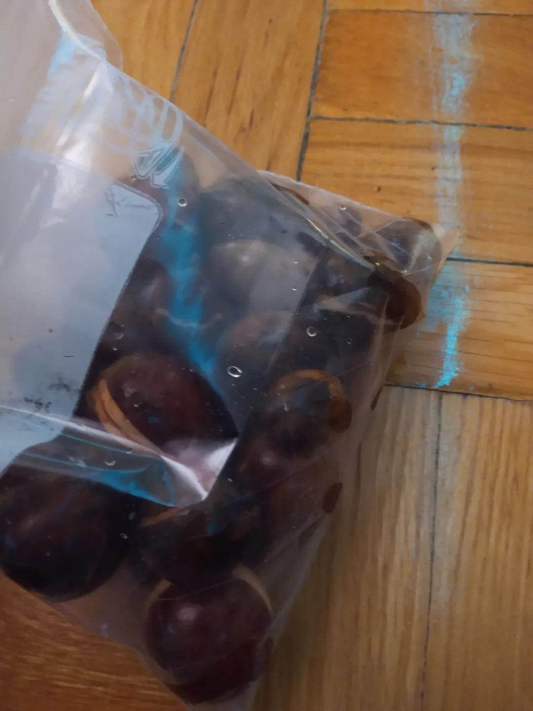 avocado seeds thumbnail