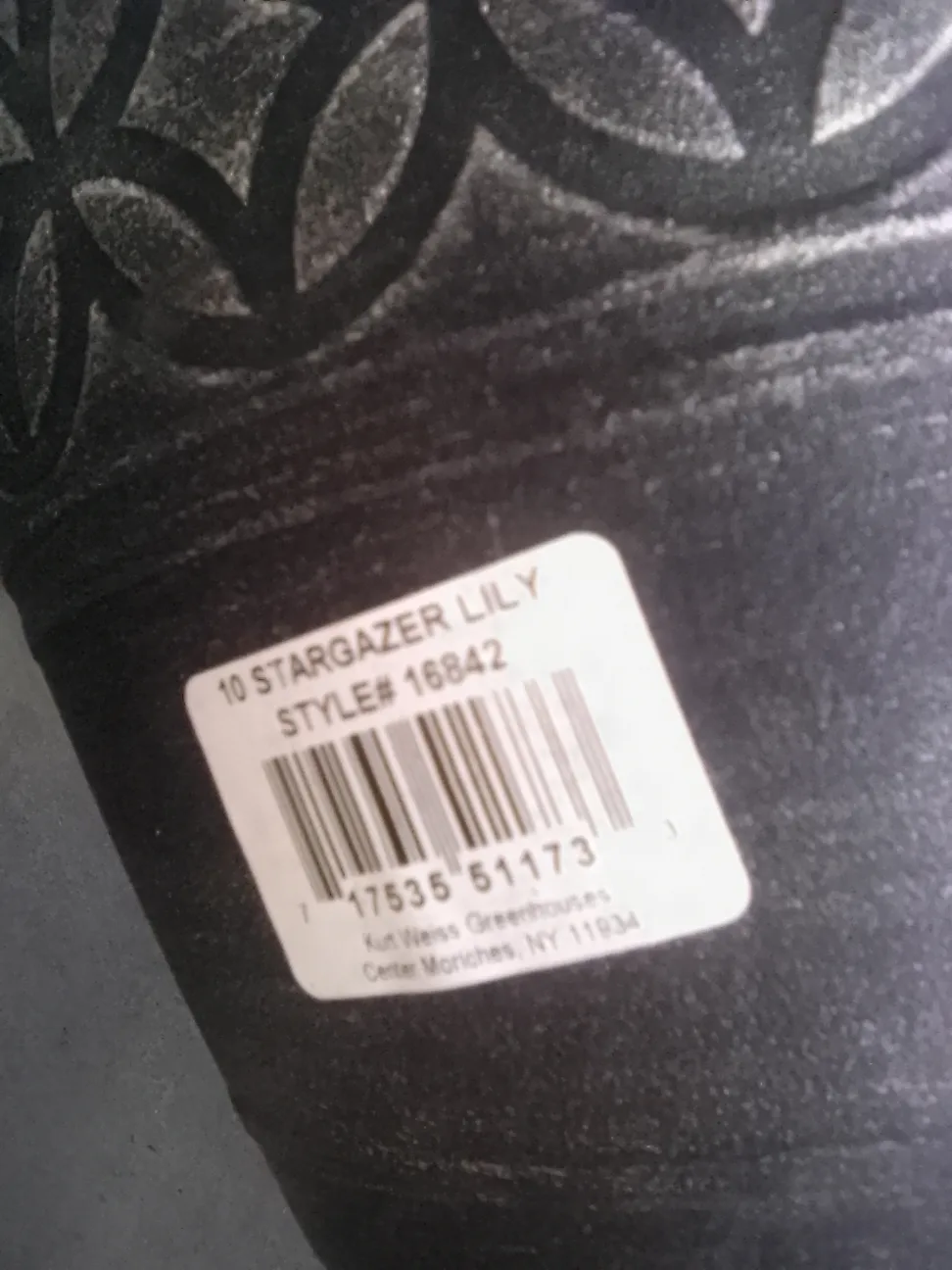 2 Pack Stargazer Lily Plastic Planters 💚 image indicator(3)