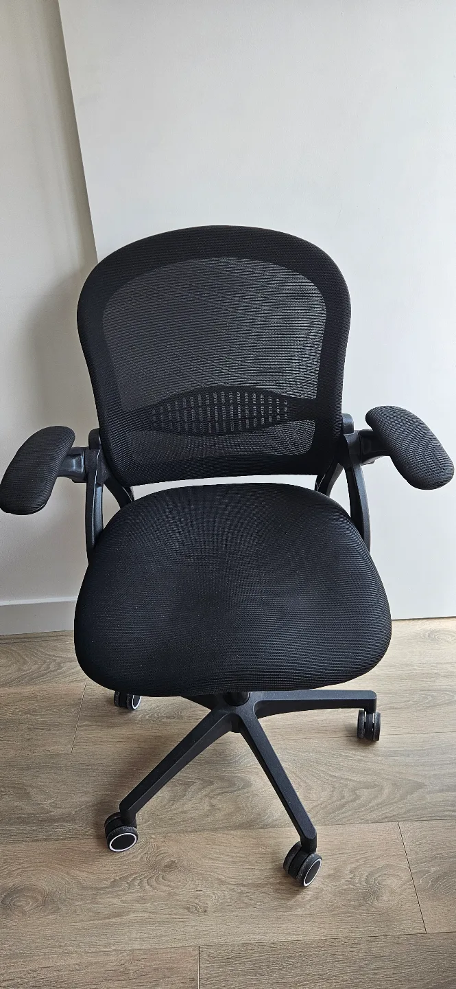 Black Mesh Office Chair with Armrests 💚 image indicator(2)