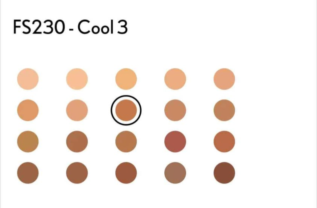 Covergirl Matte Ambition Foundation FS230 - Cool 3 - photo 3
