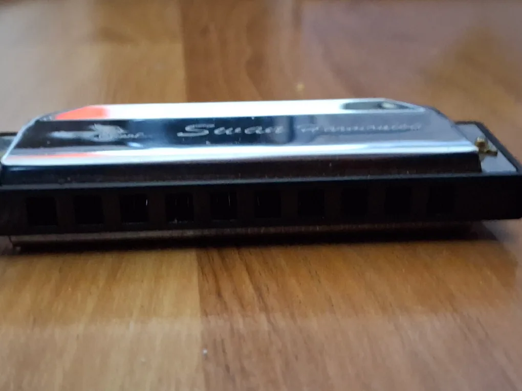 Swan Harmonica 10-hole Harmonica image indicator(4)