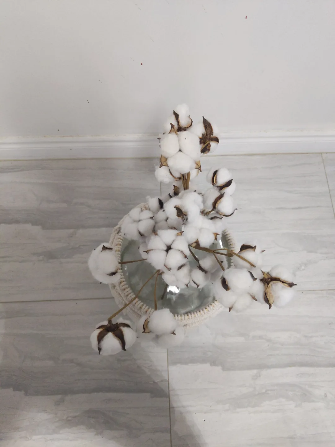 Macrame Glass Vase with Cotton Stems💙 image indicator(2)