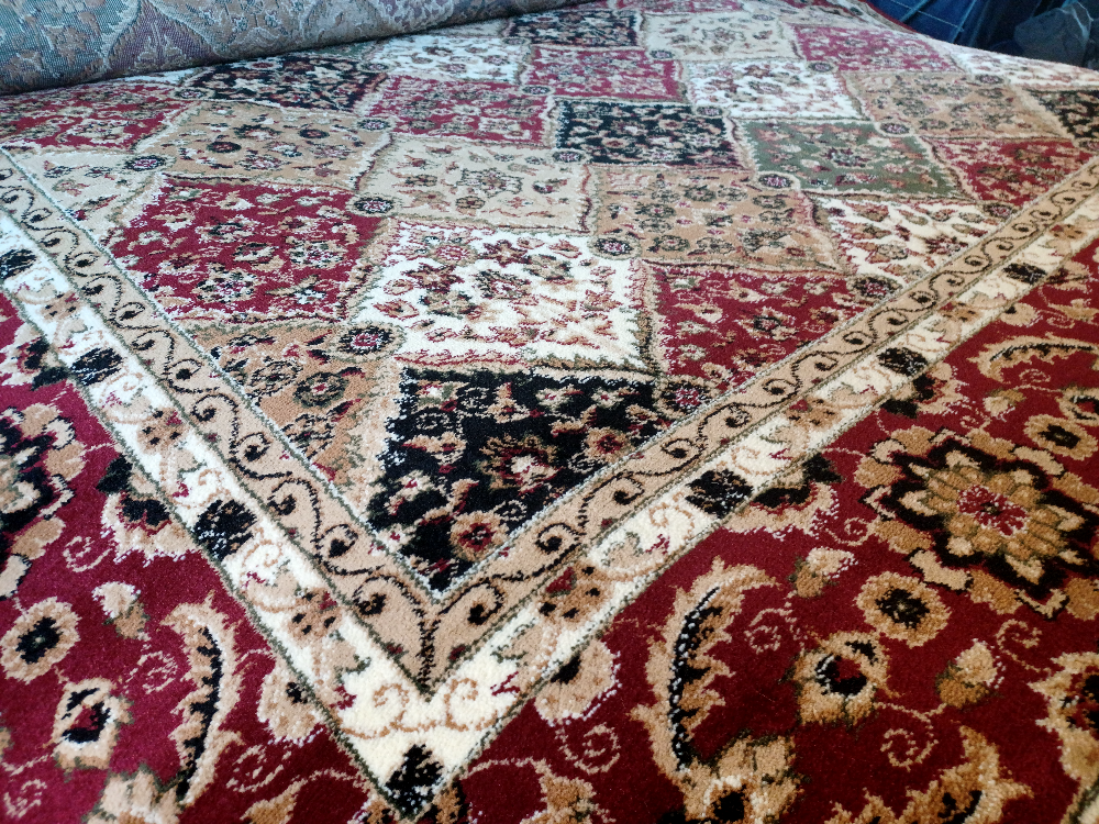 Large Oriental-Style Area Rug