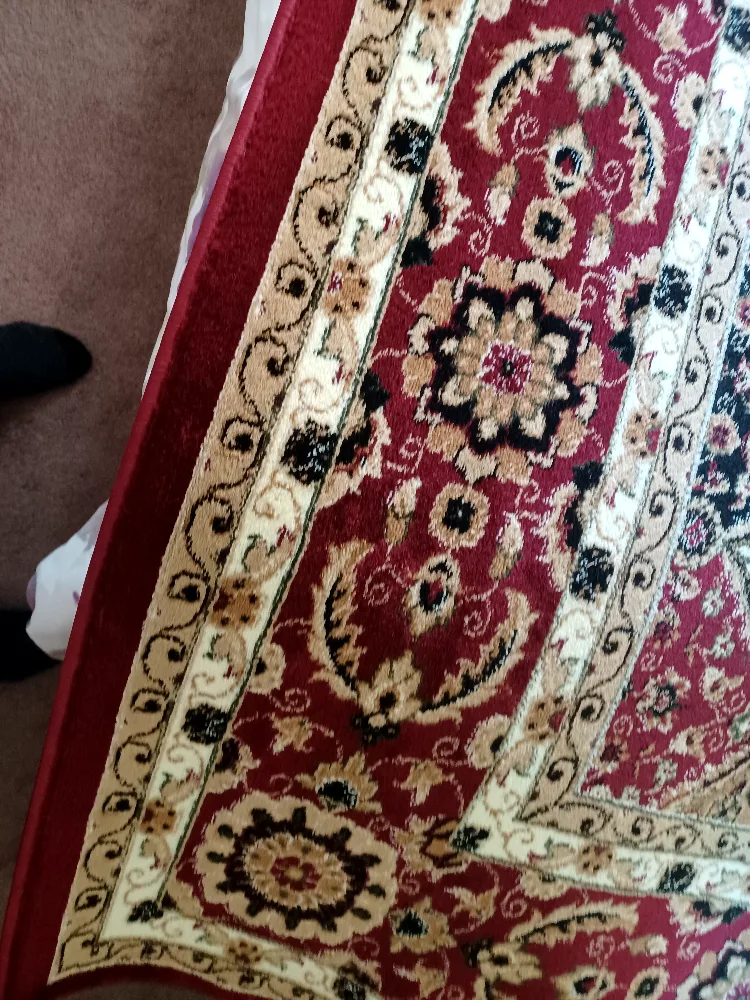 Large Oriental-Style Area Rug image indicator(3)