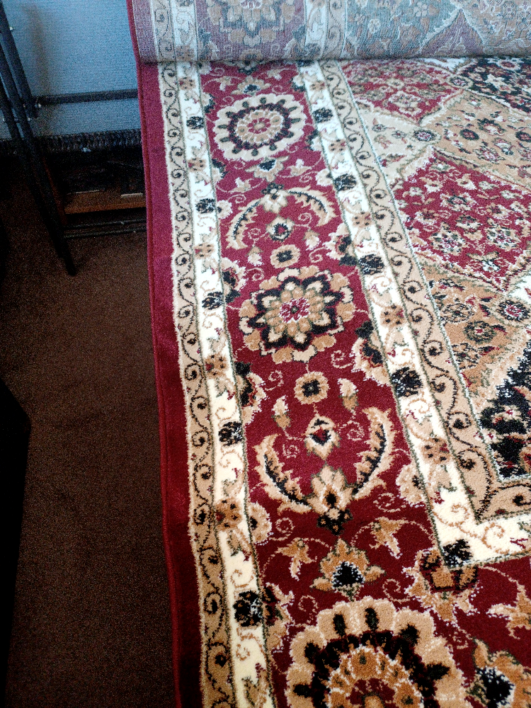 Large Oriental-Style Area Rug - photo 4