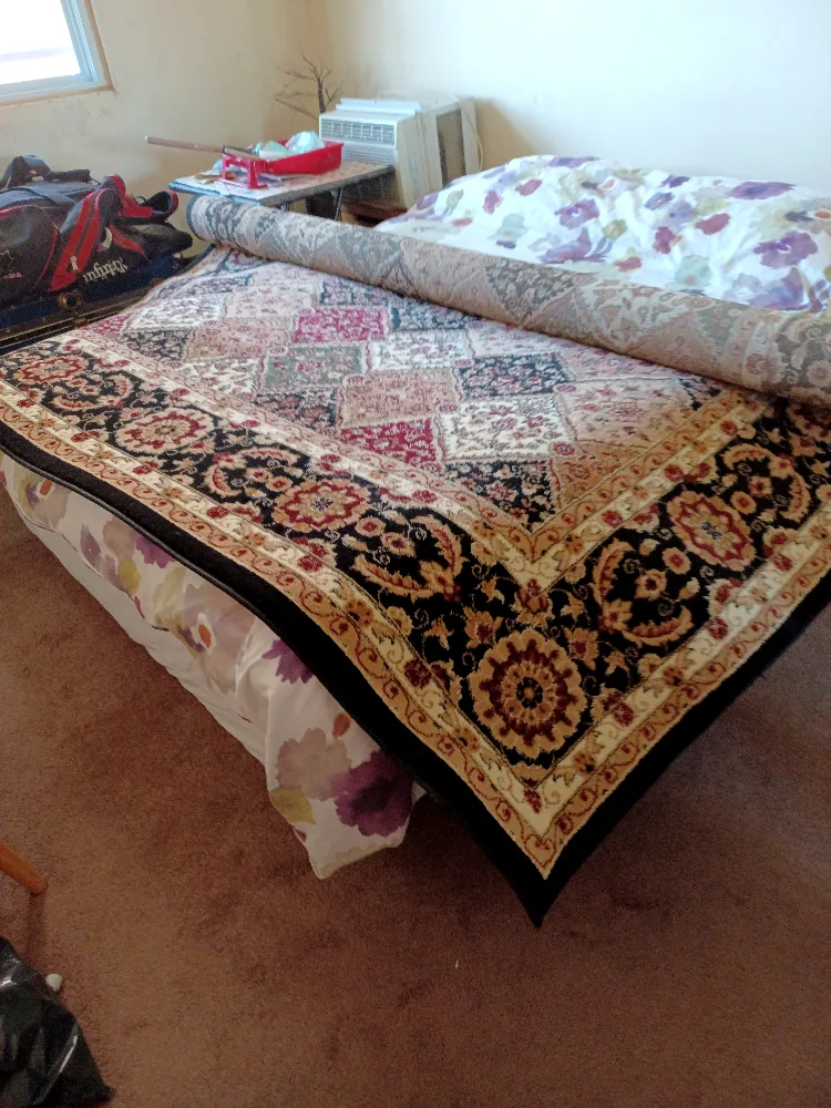 Large Oriental-Style Area Rug image indicator(5)