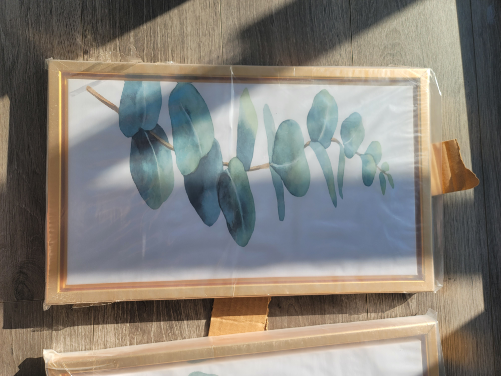 Set of three eucalyptus leaf framed wall art - photo 4