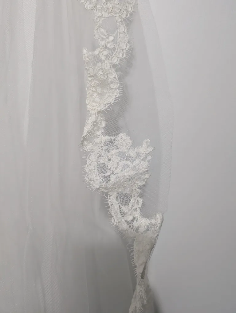 Wtoo by Watters Wedding Dress Size 12 image indicator(4)