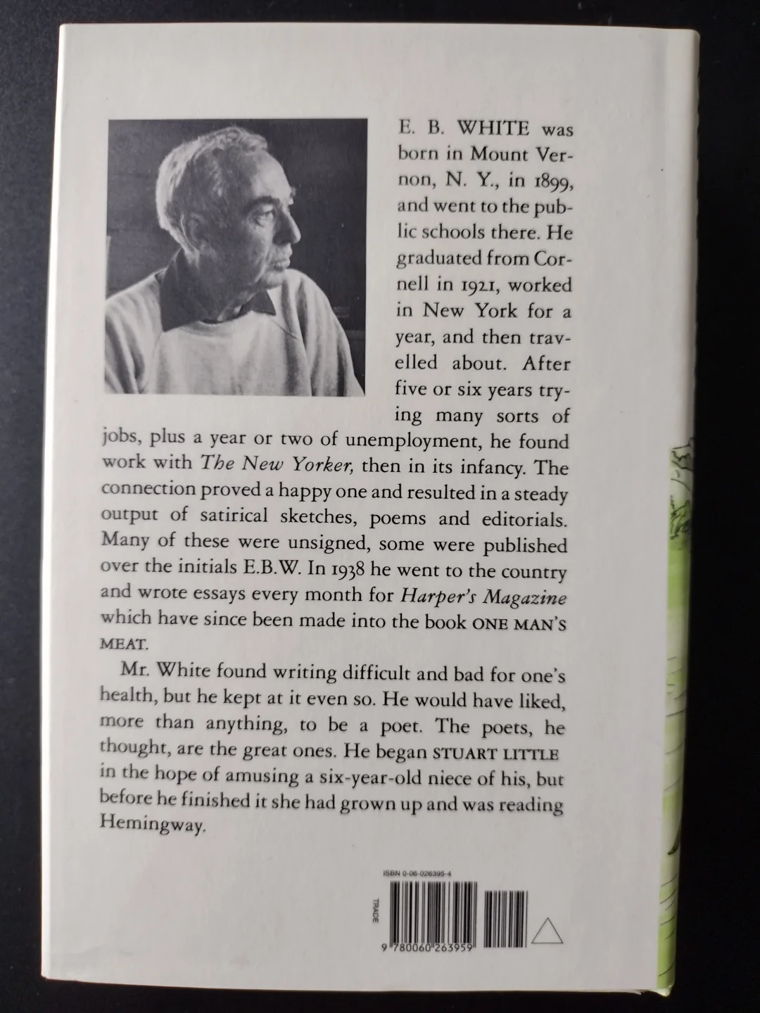 Stuart Little by E.B. White - First Edition Hardcover Book 💚 image indicator(2)