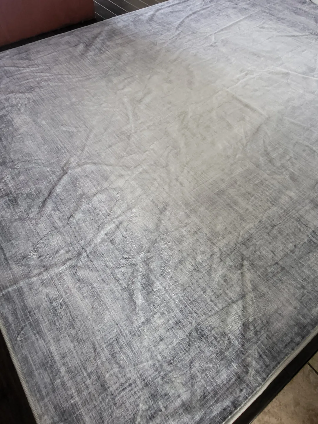 8ft X 10ft Area rug (Brand new) image indicator(3)