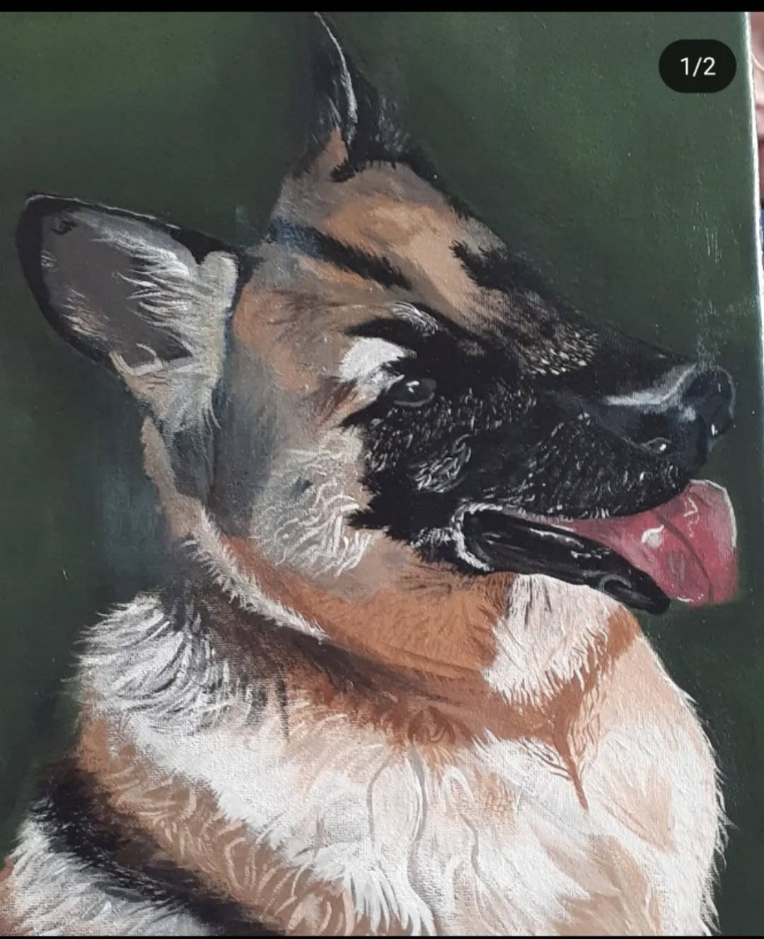 custom pet portraits - photo 3
