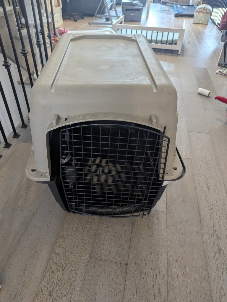 Dog Crate Medium to Large image indicator(3)