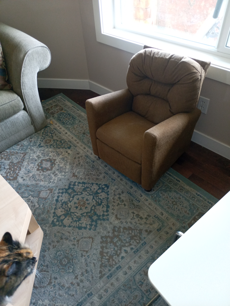 Child's Brown Recliner Chair