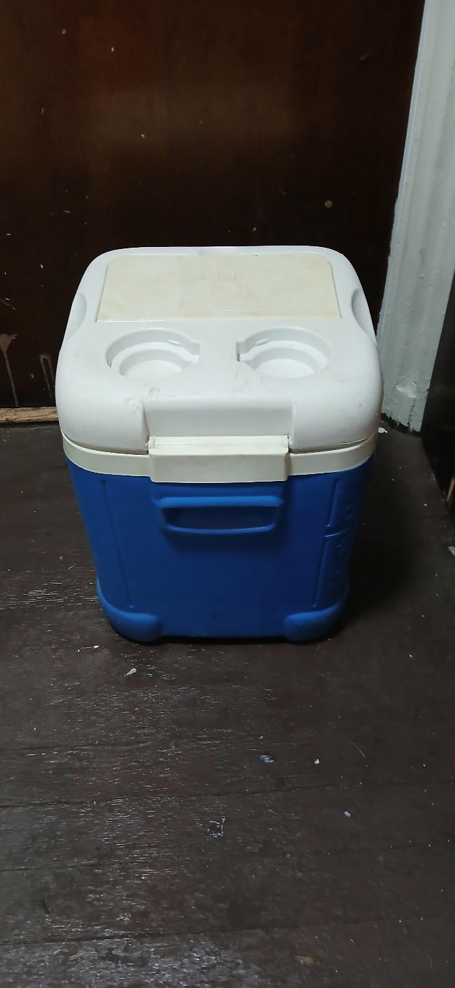 Igloo Small Cooler