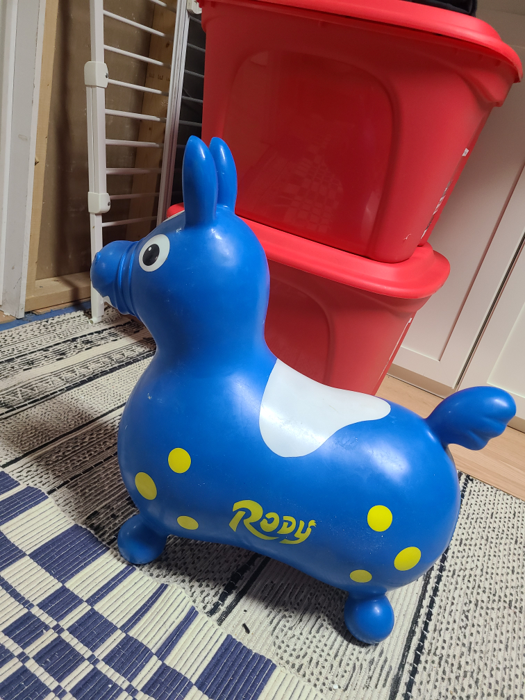Rody Horse Inflatable Ride-on Toy