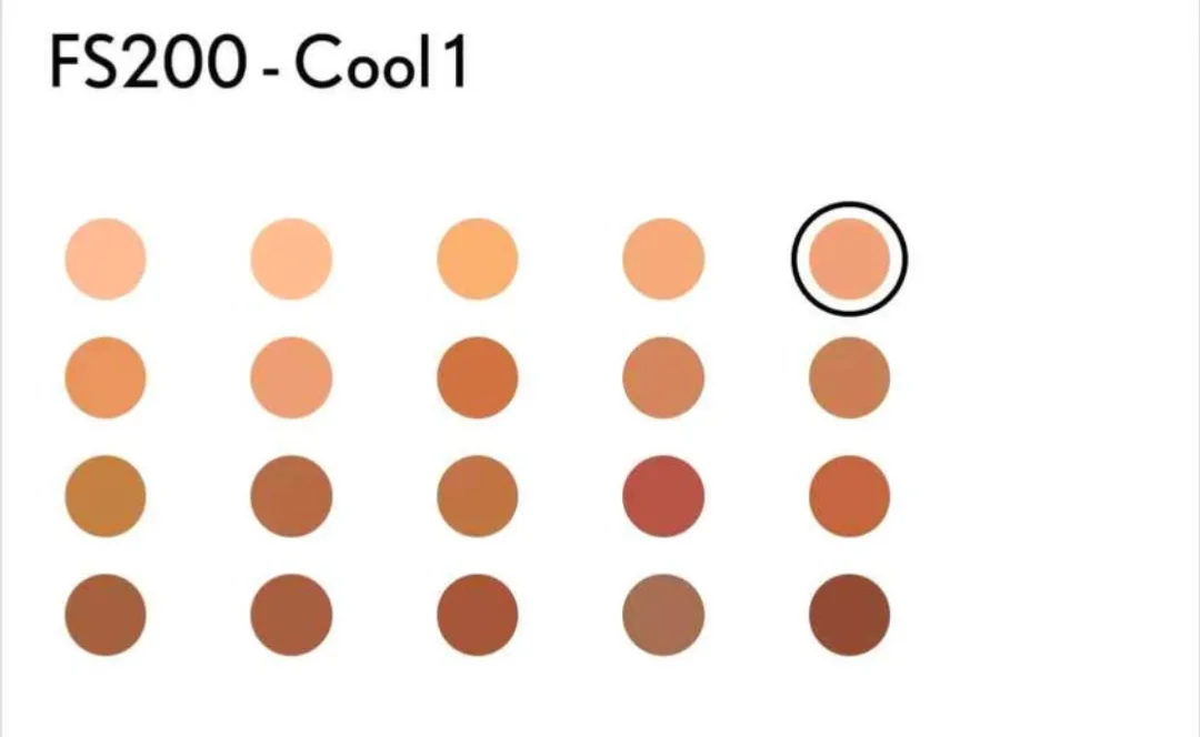 Covergirl Matte Ambition Foundation FS200 - Cool 1 image indicator(3)