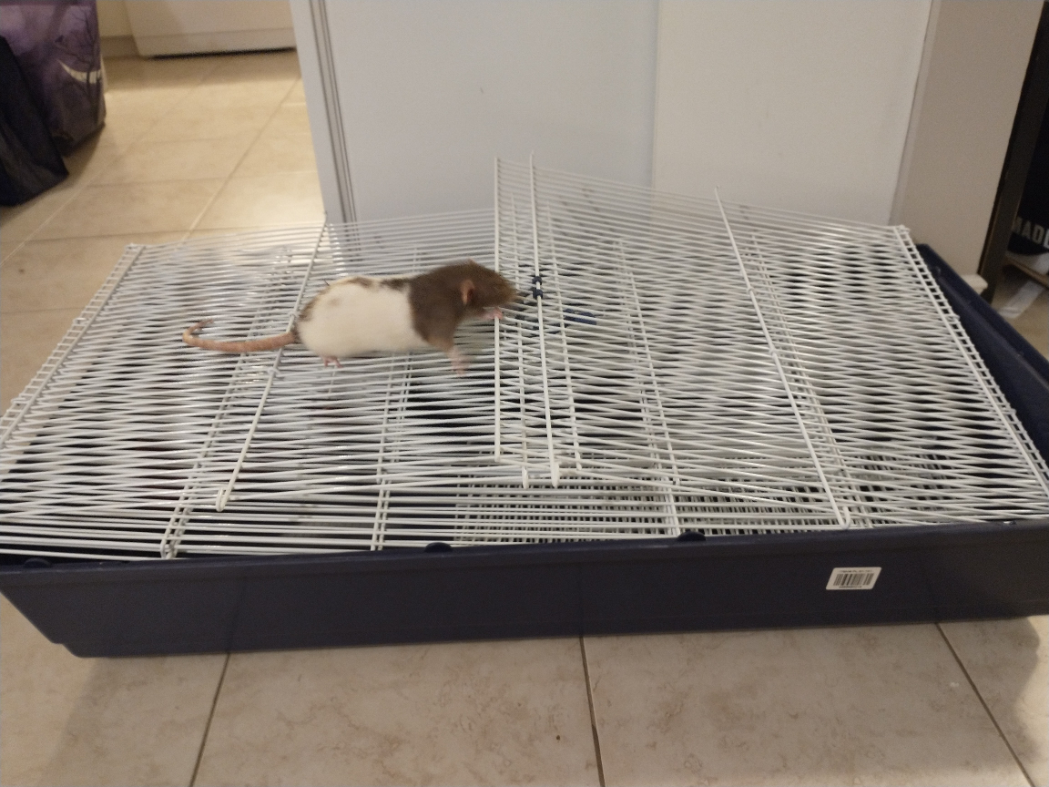 Small Animal Cage - photo 2