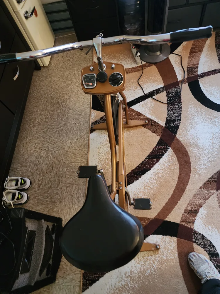 Vintage Schwinn Airdyne Exercise Bike image indicator(2)