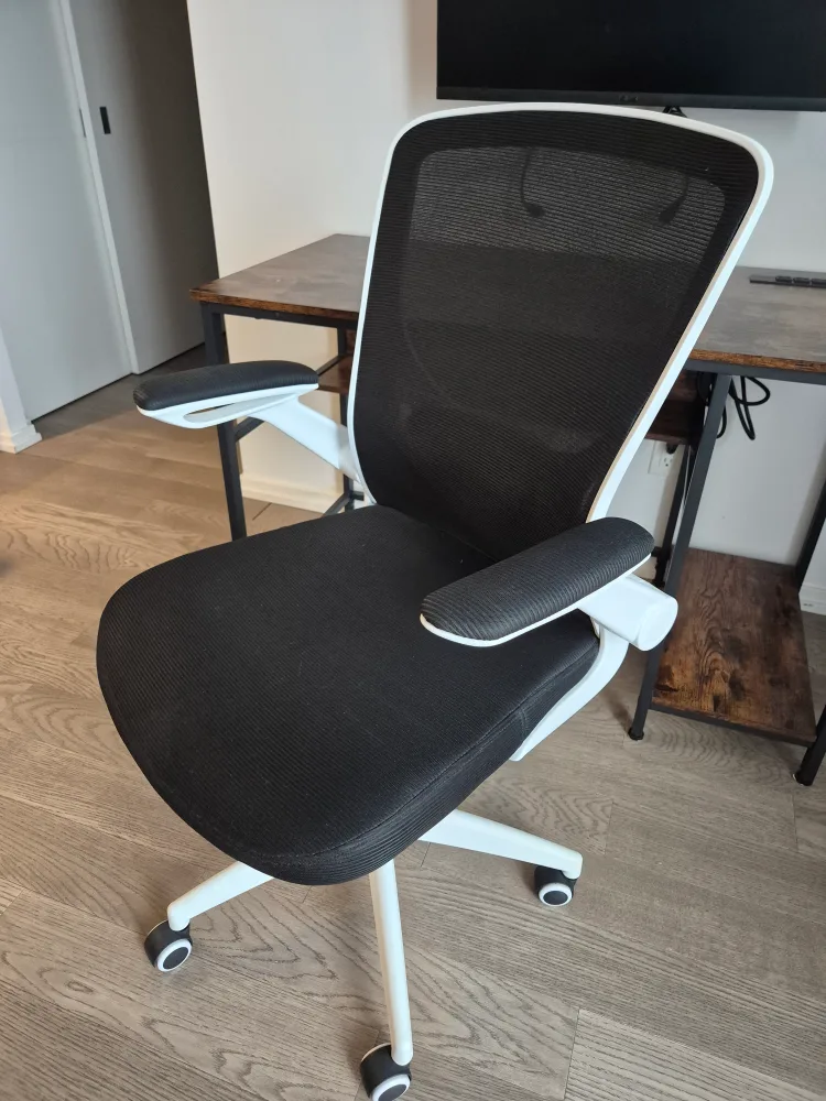 Ergonomic Office Chair image indicator(3)