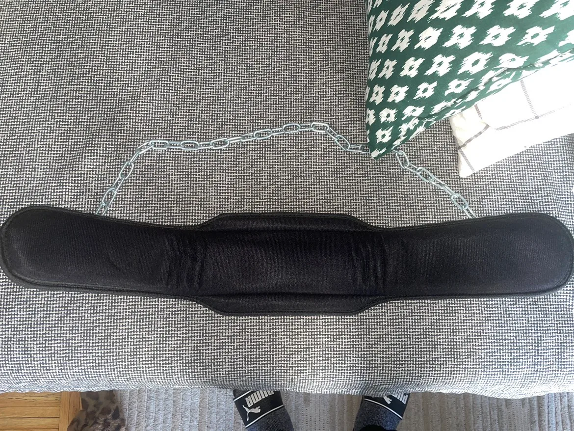 Dip Belt (DMoose) slightly Used image indicator(6)