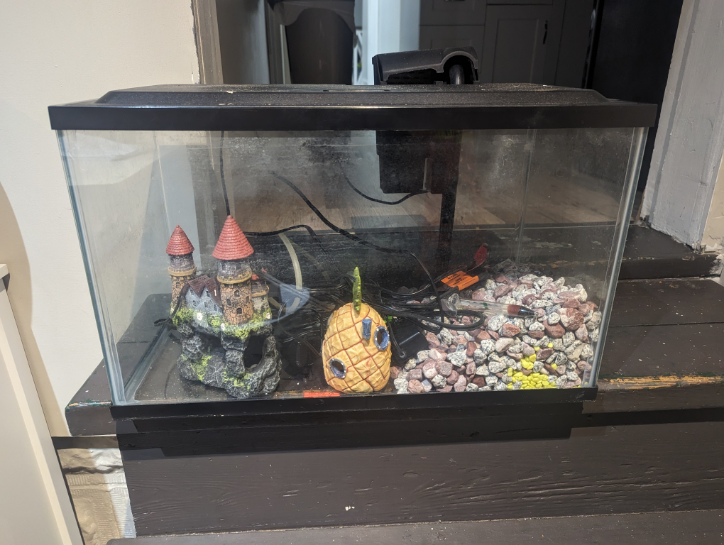 Small Fish Tank with Filter and Decorations