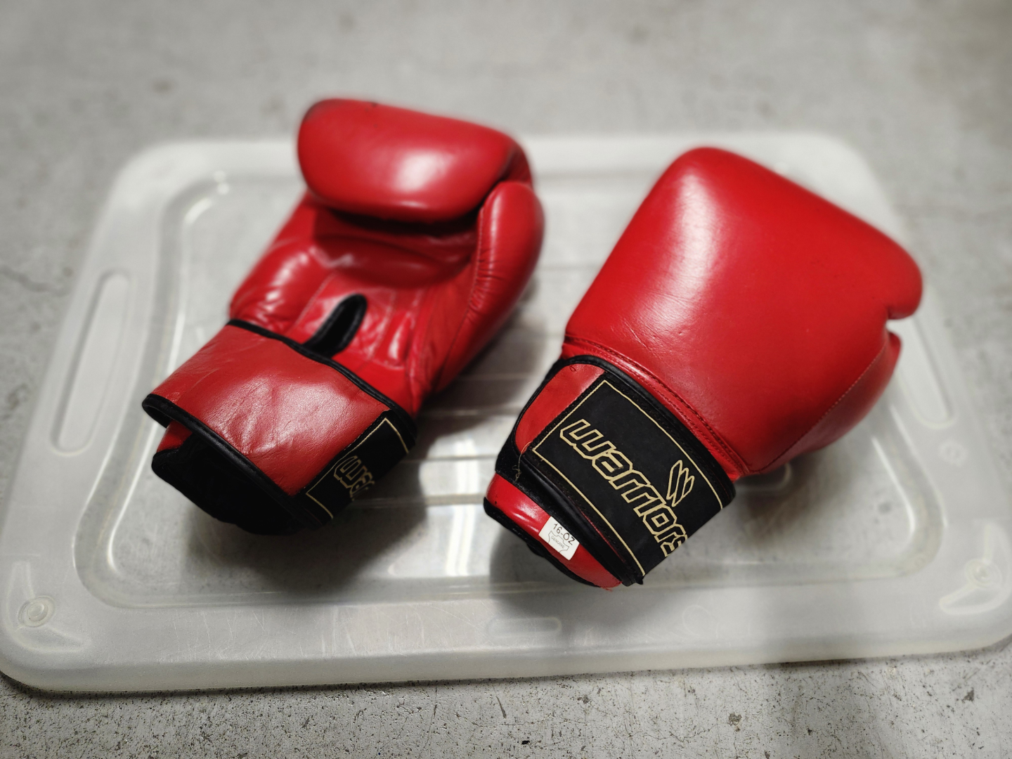Pair of Red Warriors Boxing Gloves